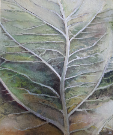 Jabloňový list, olej na plátně, 2024